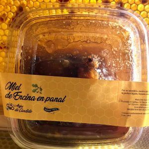Miel de Encina en Panal